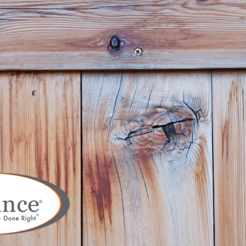 Knotty Pine Cabinet with NHance Logo